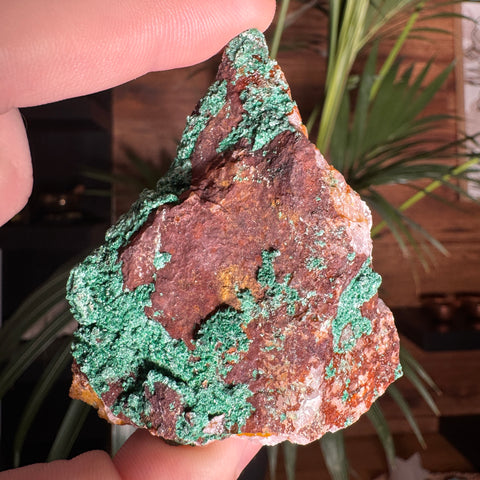 Malachite on Iron Oxide Matrix with Dolomite and Quartz – 150g