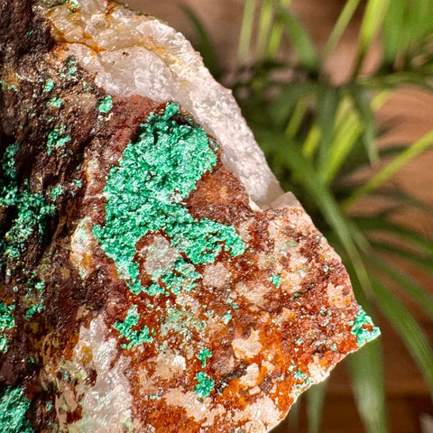 Malachite on Iron Oxide Matrix with Dolomite and Quartz – 150g