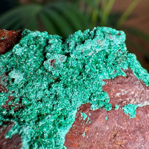 Malachite on Iron Oxide Matrix with Dolomite and Quartz – 150g