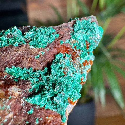Malachite on Iron Oxide Matrix with Dolomite and Quartz – 150g