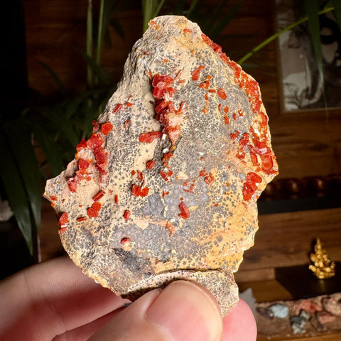 Fiery Crown Vanadinite Cluster – 161g - Crystals & Reiki