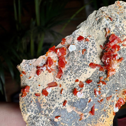 Fiery Crown Vanadinite Cluster – 161g - Crystals & Reiki