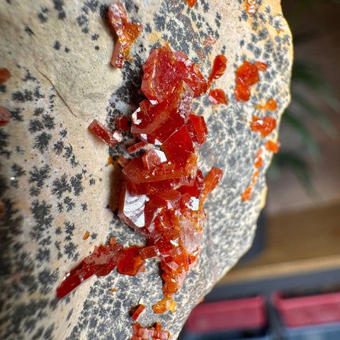 Fiery Crown Vanadinite Cluster – 161g - Crystals & Reiki