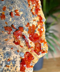 Fiery Crown Vanadinite Cluster – 161g - Crystals & Reiki
