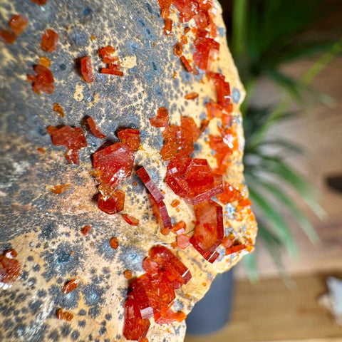 Fiery Crown Vanadinite Cluster – 161g - Crystals & Reiki