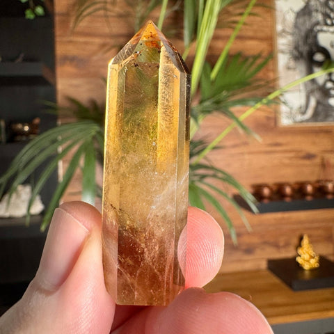 Golden Flame Citrine Point with Lepidocrocite & Rainbows – 20.55g - Crystals & Reiki
