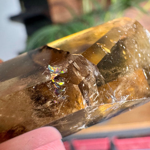 Solar Fire Citrine Double Terminated Freeform – 32g - Crystals & Reiki