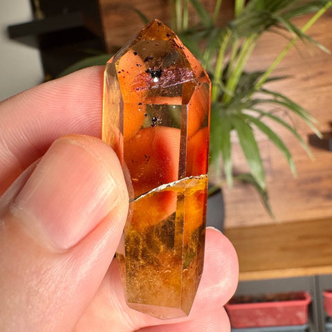 Solar Fire Citrine Double Terminated Freeform – 32g - Crystals & Reiki