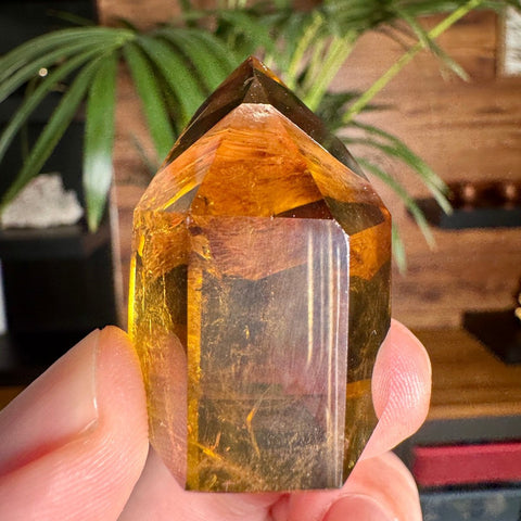 Golden Cascade Citrine Phantom Point – 52.3g - Crystals & Reiki