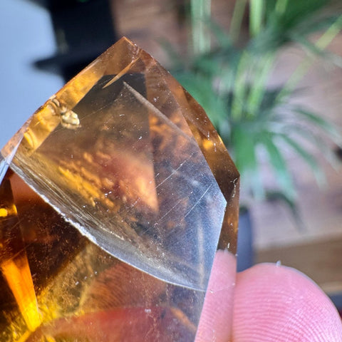 Golden Cascade Citrine Phantom Point – 52.3g - Crystals & Reiki