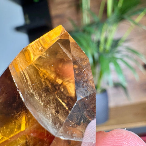 Golden Cascade Citrine Phantom Point – 52.3g - Crystals & Reiki