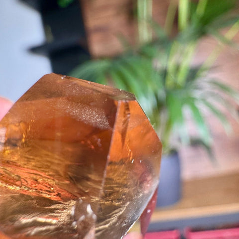 Golden Cascade Citrine Phantom Point – 52.3g - Crystals & Reiki