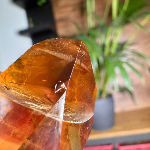 Golden Cascade Citrine Phantom Point – 52.3g - Crystals & Reiki