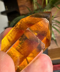 Golden Cascade Citrine Phantom Point – 52.3g - Crystals & Reiki