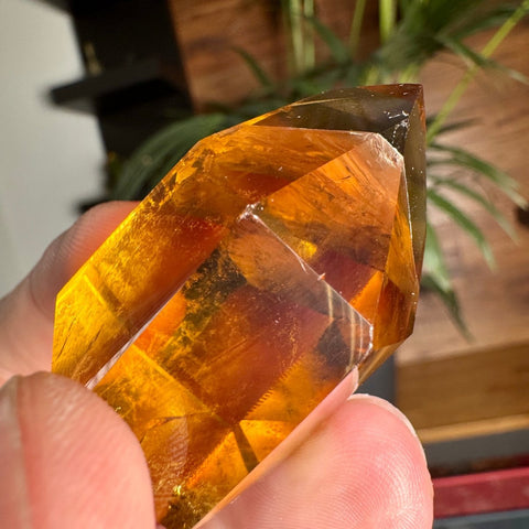 Golden Cascade Citrine Phantom Point – 52.3g - Crystals & Reiki