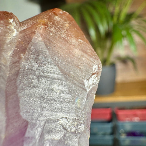 Ancient Crown Auralite 23 Point – 136g - Crystals & Reiki