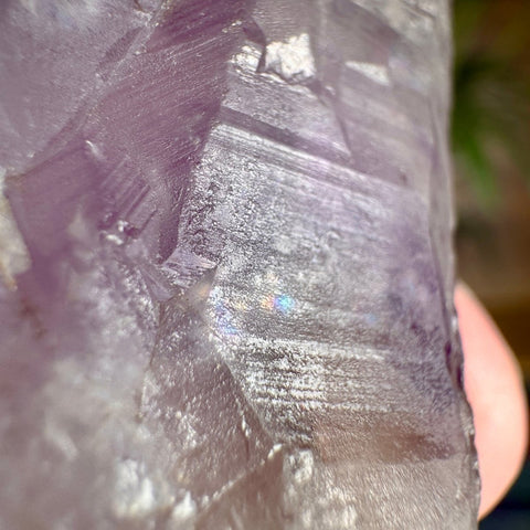 Ancient Crown Auralite 23 Point – 136g - Crystals & Reiki