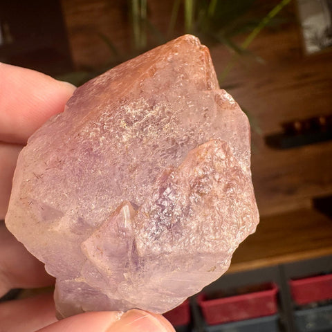 Ancient Crown Auralite 23 Point – 136g - Crystals & Reiki