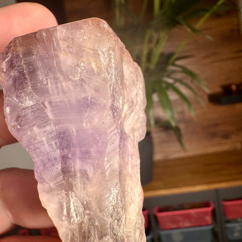 Ancient Crown Auralite 23 Point – 136g - Crystals & Reiki