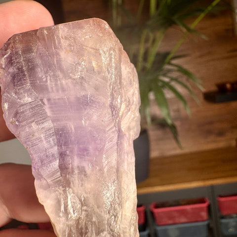 Ancient Crown Auralite 23 Point – 136g - Crystals & Reiki