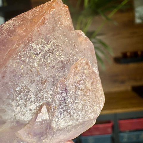 Ancient Crown Auralite 23 Point – 136g - Crystals & Reiki