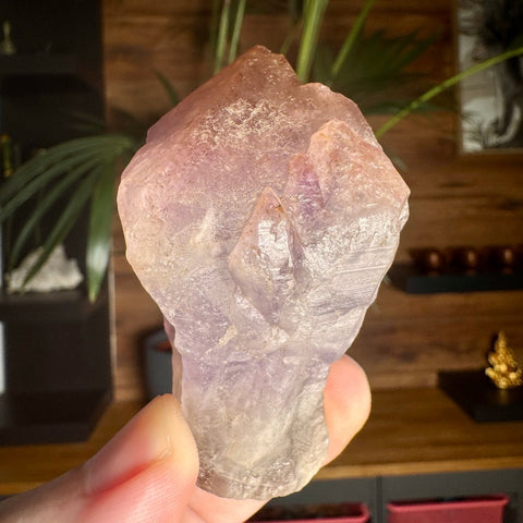 Ancient Crown Auralite 23 Point – 136g - Crystals & Reiki