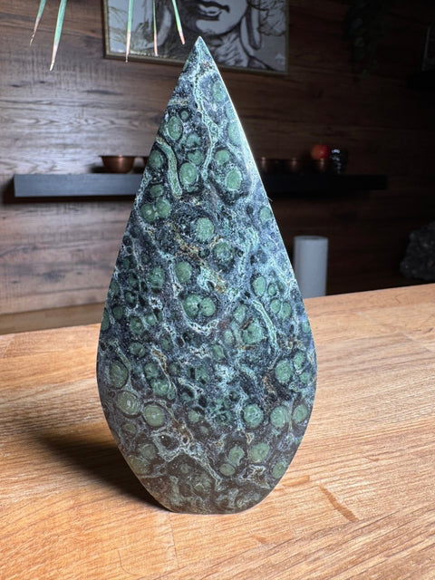 Kambaba Jasper Teardrop - Crystals & Reiki