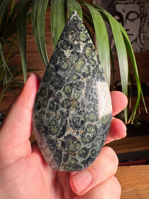 Kambaba Jasper Teardrop - Crystals & Reiki