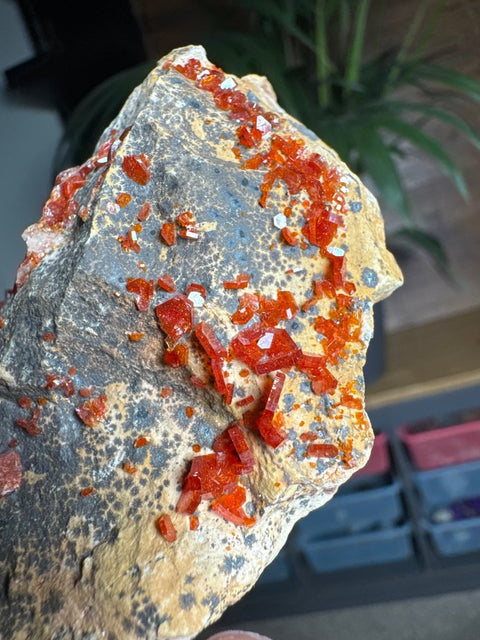 Fiery Crown Vanadinite Cluster – 161g - Crystals & Reiki