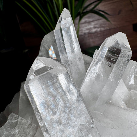Elite Lemurian Quartz Cluster on Stand – 2.09kg – Intuitive Powerhouse