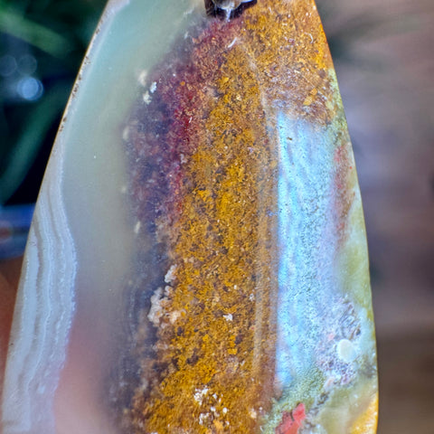 Vibrant Plume Agate Pendant in 925 Sterling Silver