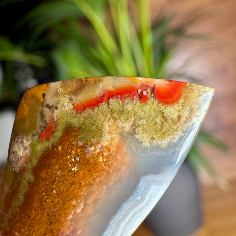 Vibrant Plume Agate Pendant in 925 Sterling Silver