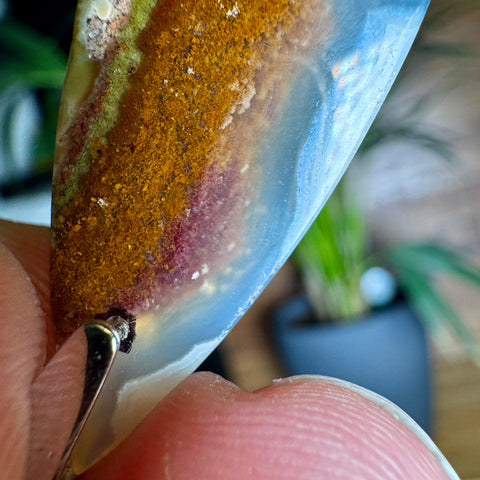 Vibrant Plume Agate Pendant in 925 Sterling Silver