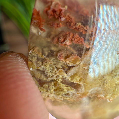 Deeply Coloured Plume Agate Pendant in 925 Sterling Silver