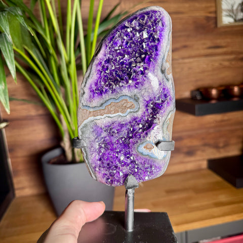 Premium Uruguayan Amethyst Cluster with Stand – 1.7kg