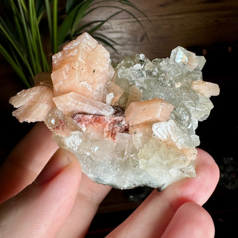 Diamond Apophyllite with Peach Stilbite Flower and Heulandite – 195g