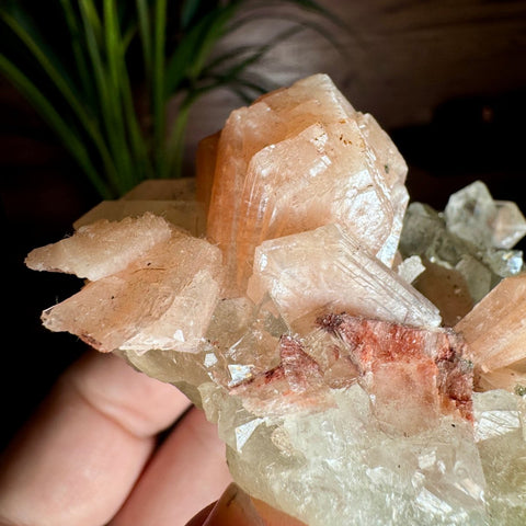 Diamond Apophyllite with Peach Stilbite Flower and Heulandite – 195g