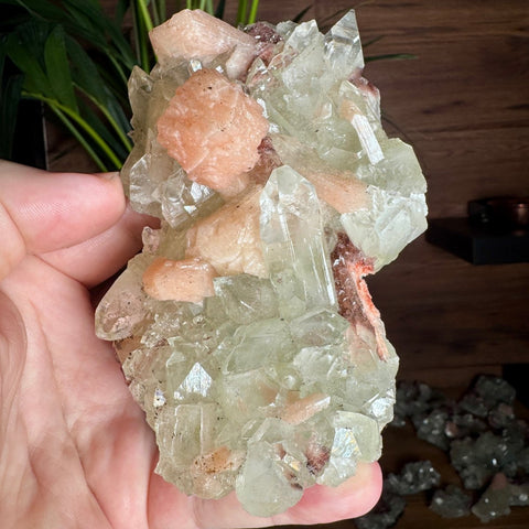 Exceptional Apophyllite, Stilbite, and Heulandite Cluster – 440g