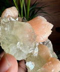 Exceptional Apophyllite, Stilbite, and Heulandite Cluster – 440g - Crystals & Reiki