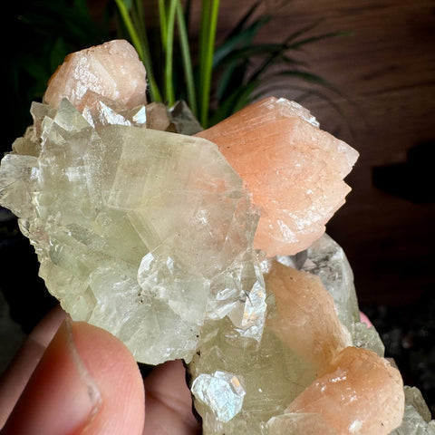 Exceptional Apophyllite, Stilbite, and Heulandite Cluster – 440g