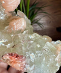 Exceptional Apophyllite, Stilbite, and Heulandite Cluster – 440g - Crystals & Reiki