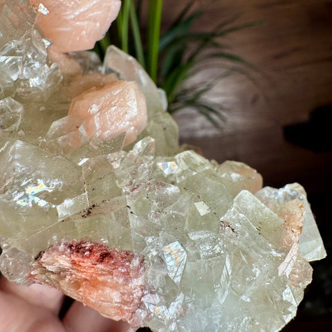 Exceptional Apophyllite, Stilbite, and Heulandite Cluster – 440g - Crystals & Reiki