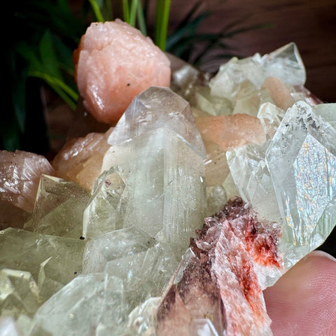 Exceptional Apophyllite, Stilbite, and Heulandite Cluster – 440g - Crystals & Reiki