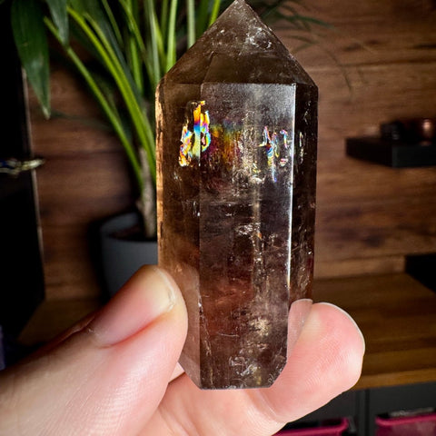 Smoky Quartz Point with Rainbows: Grounding and Light – 7cm / 88.4g - Crystals & Reiki