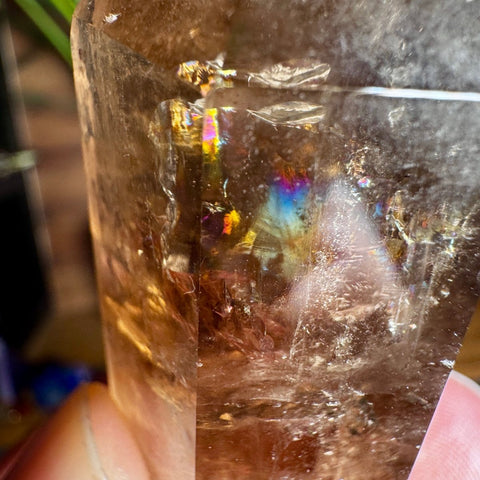 Smoky Quartz Point with Rainbows: Grounding and Light – 7cm / 88.4g - Crystals & Reiki