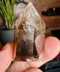 Smoky Quartz Point with Rainbows: Transformation and Protection – 5.5cm / 63.9g - Crystals & Reiki
