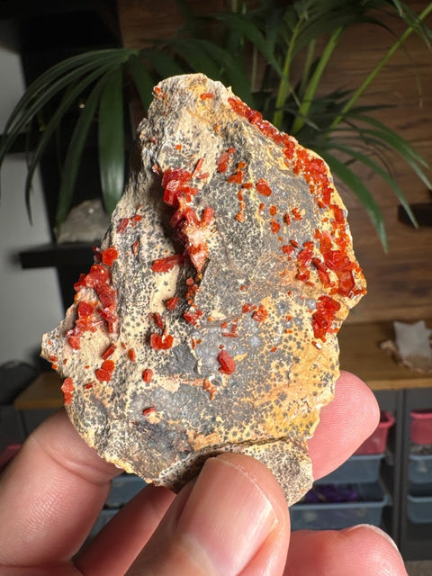 Fiery Crown Vanadinite Cluster – 161g - Crystals & Reiki