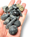 Indochinite Tektite - Spiritual Powerhouse - Crystals & Reiki