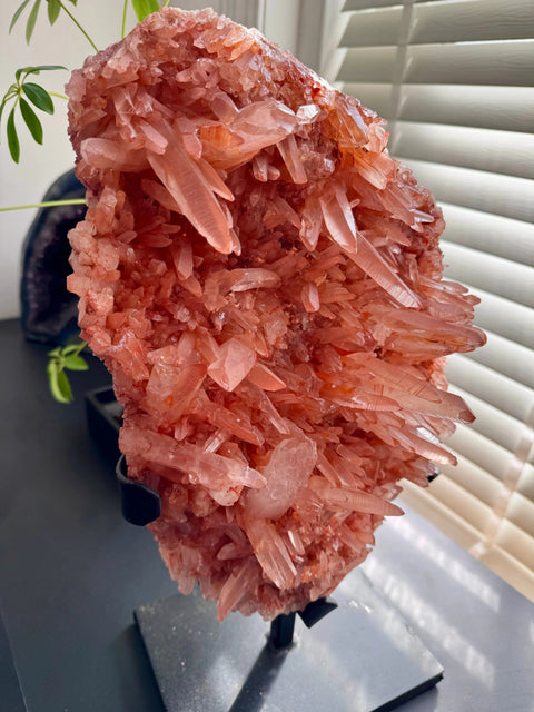 Tangerine Lemurian Laser Quartz Natural Cluster - Vibrant Energy - Crystals & Reiki