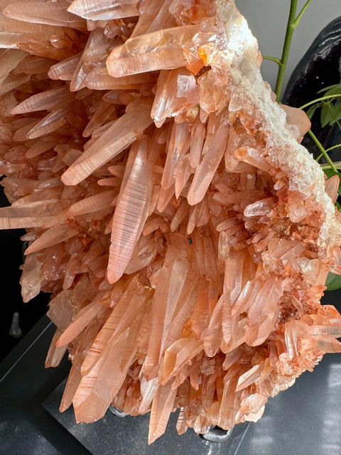 Tangerine Lemurian Laser Quartz Natural Cluster - Vibrant Energy - Crystals & Reiki